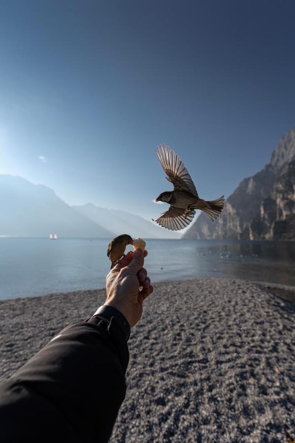 Le Calle Holiday Apartments Torbole Sul Garda Εξωτερικό φωτογραφία